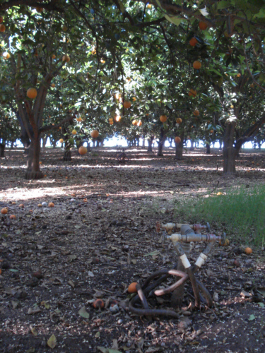 Irrigation system in place